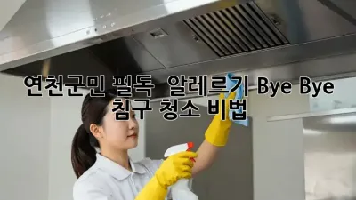연천군민 필독! 🏡 알레르기 Bye Bye 침구 청소 비법 🧽