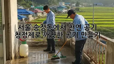 서울 송정동에서 천연 공기 청정제로 깨끗한 공기 만들기